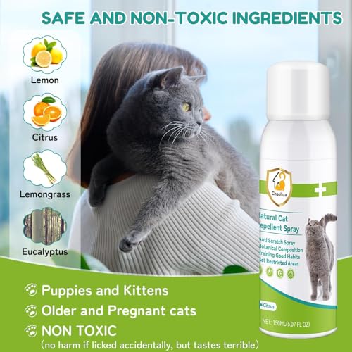 Katzenabwehrspray für Katzen, Verbesserte Fernhaltespray Katzen für Innen und Außen, Anti Katzen Spray, natürlichen Wirkstoffen, Schützen von Möbeln, Böden, Sofas, Teppichen-150ml, Grün