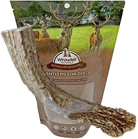 fallow antler dog chew