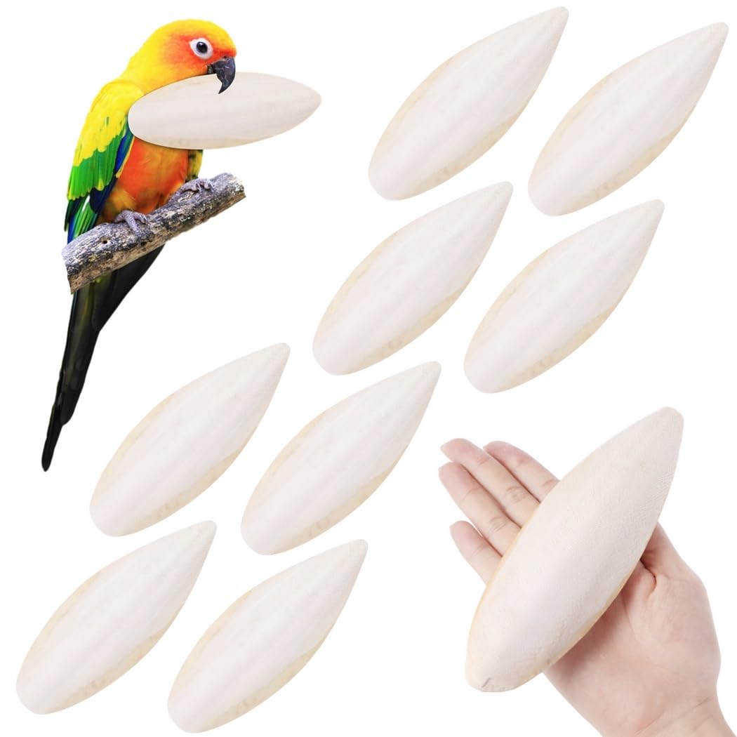Lot de 8 jouets à mâcher en forme d'os de seiche enrichi en calcium pour oiseaux, perruches, calopsittes, tortues et reptiles