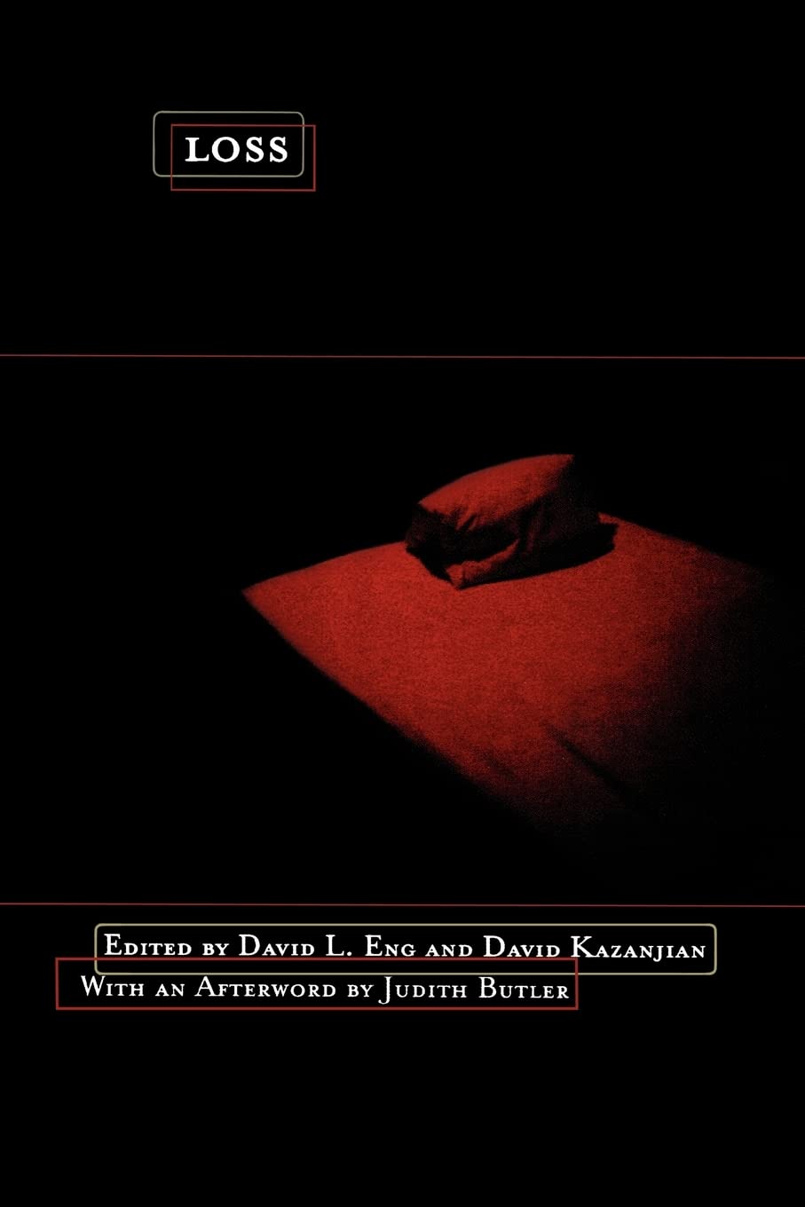 Loss: The Politics Of Mourning