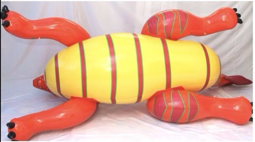 Amazon.co.jp: ドラゴンレッド ツヤあり フロート 空気ビニール風船 Amazon.co.jp: ドラゴンレッド ツヤあり フロート 空気ビニール風船