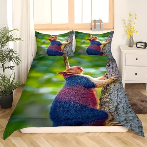 Housse de couette avec fermeture éclair 240x260 motif écureuil