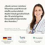 15-in-1 Multivitamin Komplex für Hunde - Multi Vital 30 Snacks (110g) von mammaly - Omega 3, Vitamin B, C, A, D3, E Snacks - Leckerlies für Hund - Unterstützt Immunsystem, Vitalität, Gehirnfunktion