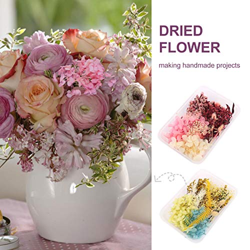 EXCEART 3 pacotes de flores secas naturais prensadas secas para artesanato com pingente de vela de s