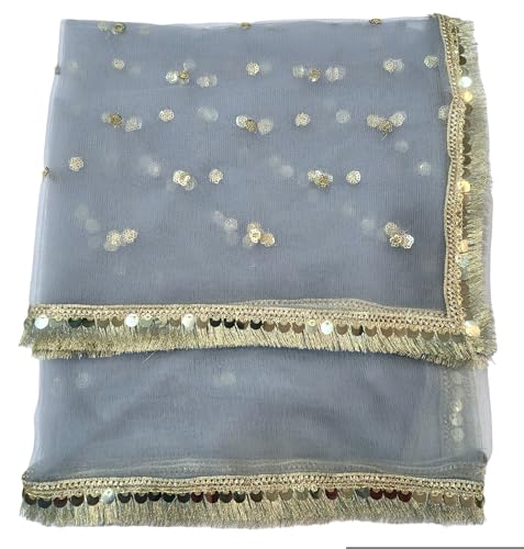 Image of Navti Creations Women's Lightweight Net Dupatta With Sequence Embroidery & Kiran Border (Length 2.25m)