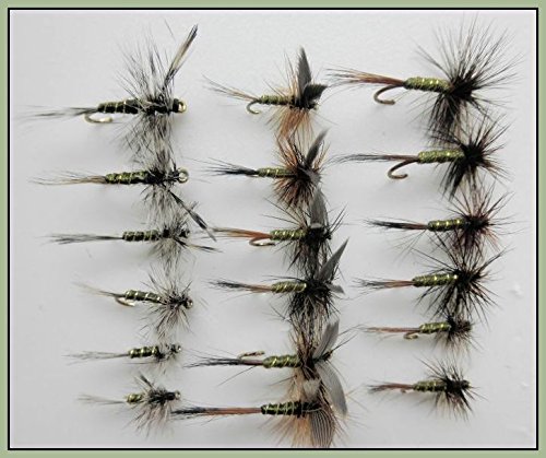 TroutfliesUK Greenwell Gloria Trota Mosche, 6 Pezzi Dry Hackled, Taglie A Scelta, Pesca a Mosca