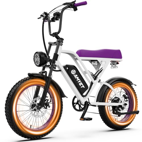 AMYET V9-G60 Electric Bike for Adults, 48V 20Ah(960WH) Ebike with Removable Battery, 20 Fat Tire E Dirt Bike,Dual Shock Absorber, Adults Electric Bike with UL 2849 Certified