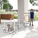 PawHut Agility Set Hunde 4-teiliges Agility-Ausrüstung für Hundetraining Steckhürdenset mit höhenverstellbar Hürden Reifen Trainingszubehör Koordinationstraining Agilityset für Spiele Training