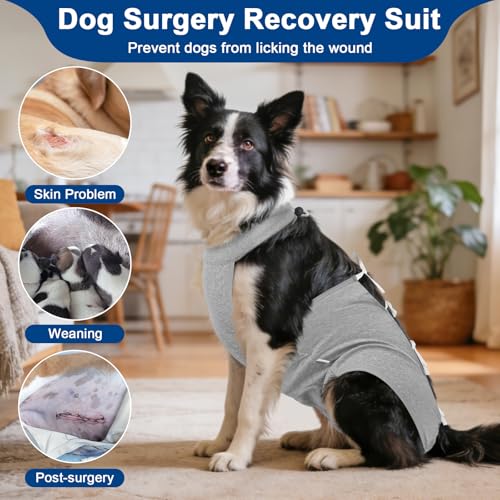 Image of BARKLESS Recovery Suit for Dogs, Soft Surgical Onesie for Female Spay | Breathable Cotton Body Suit for Dog After Surgery to Prevent Licking Abdominal Wounds, Cone Alternative (Grey, L)