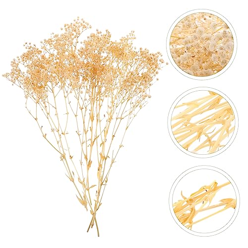 Ramo Decorativo Seco de Gypsophila Blanco ULTECHNOVO miniatura 6