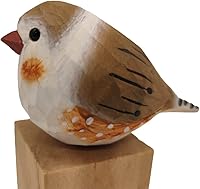 Vista 36 de Figura de pájaro de teta de vientre amarillo de madera para decoración del hogar