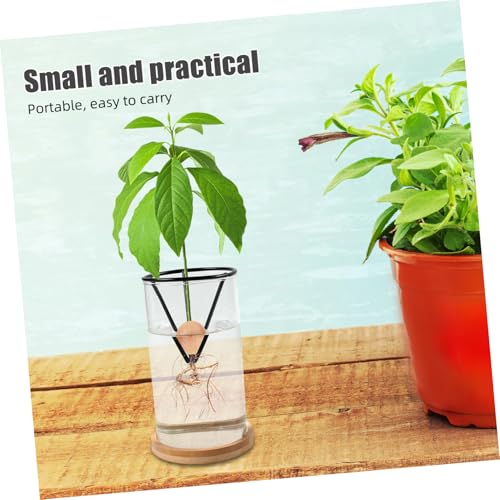 Soporte de mesa GALPADA para frutas: base triangular resistente que evita vuelcos, 4 uds 6