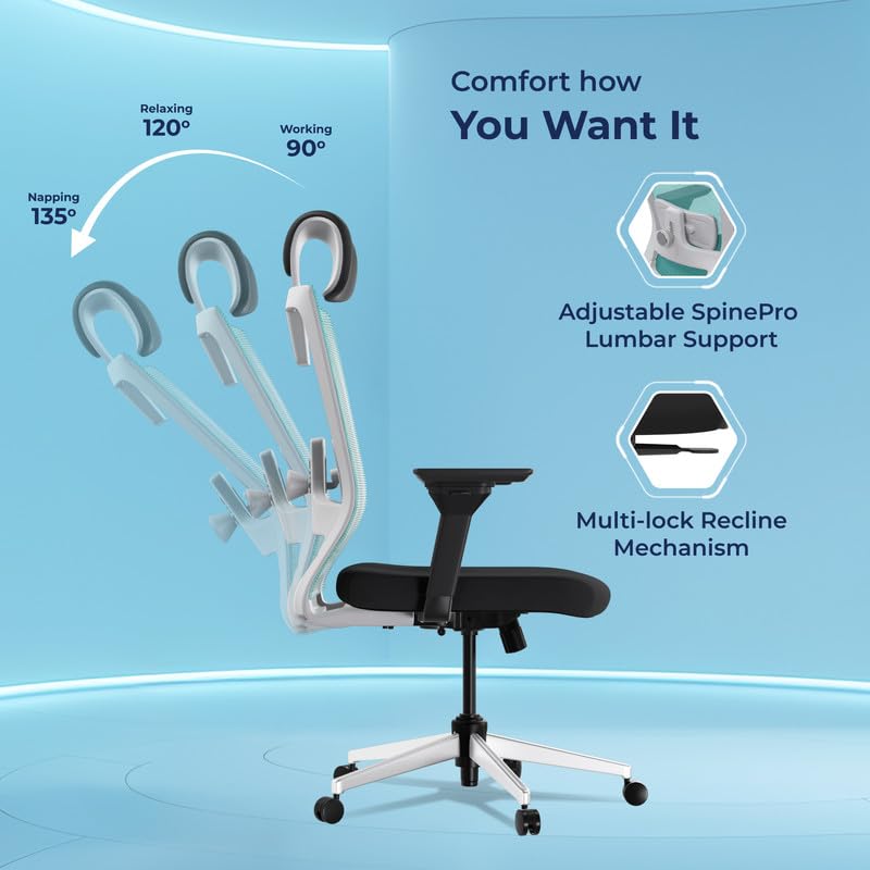 best ergonomic chairs for long working hours 2026 Sleep Company Stylux