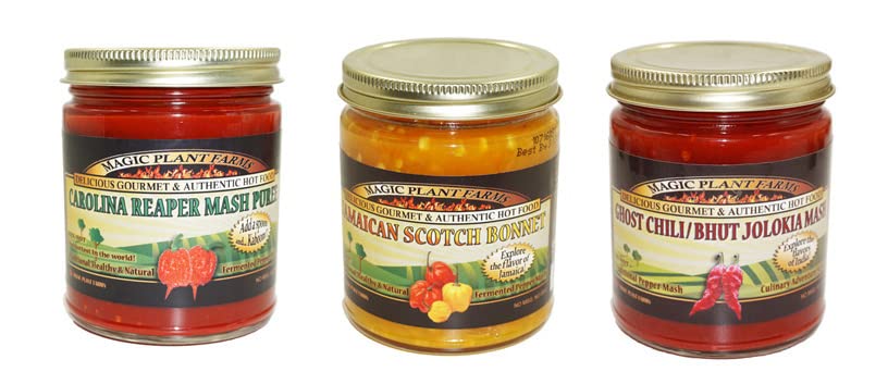 Pepper Mash Collection - Carolina Reaper + Yellow Scotch Bonnet + Ghost Pepper