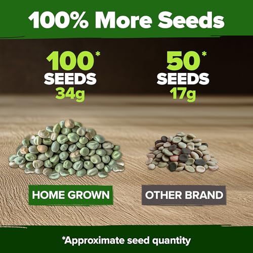 Image of HOME GROWN Organic Cascadia Snap Pea Seeds 100+ Heirloom Non-GMO Seeds for Planting, High Germination, Sweet Edible Pods, Stringless Sugar Snap, Cool Season Garden, Containers (Pisum sativum)