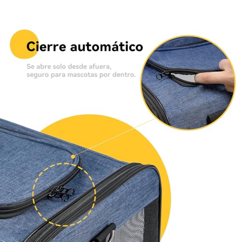 Consejos para Comprar Gato azul , listamos los 10 mejores. 3 Imagen adicional
