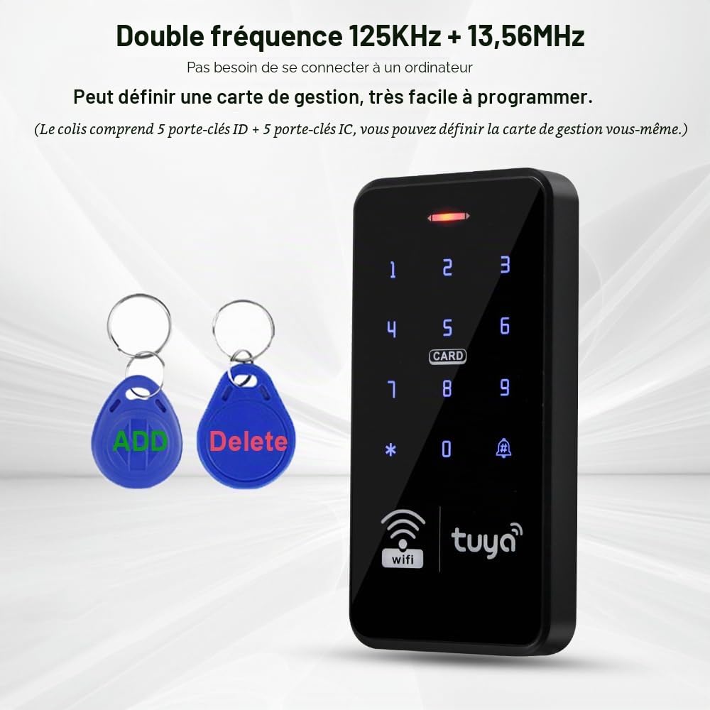 Kit de Serrure de Porte sans clé Tuya Imperméable à l'eau Double Fréquence Clavier avec DC 12V NC Sécurité électrique Serrure 3A Système de Sécurité d'alimentation