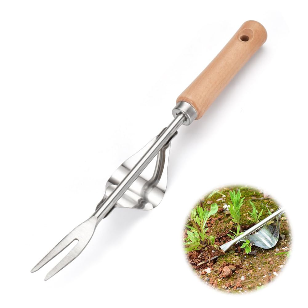 Fouvin Weed Cutter Stainless Steel Root Weeder with Wooden Handle, Hand Weeder for the Garden, Dandelion Cutter, Joint Scraper, Weed Digging, Weeding, Loosening (1 Piece)