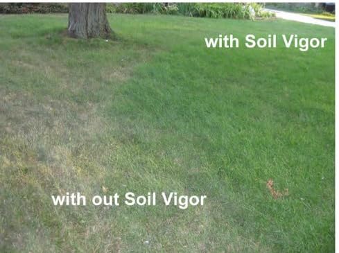 Miniatura 3 de Cristales absorbentes de agua de 1 libra, polímero, tamaño mediano húmedo del suelo