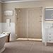 Aston Belmore GS Frameless Hinged Shower Door in Frosted Glass and Shelves