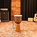 Meinl Percussion Djembe Drum African Hand Drum Instrument for Adults — NOT MADE IN CHINA — Mahogany Wood / Natural Head 12
