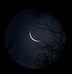 Review Image by Pam Pam