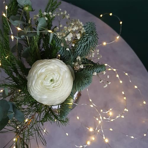 Image of Feit Electric 6ft Indoor LED Fairy String Lights with On /Off Switch, Silver Wire Light Strand, 5K Life Hours, 1.8W Warm White and AA Battery Powered - FY6-20 /SLV