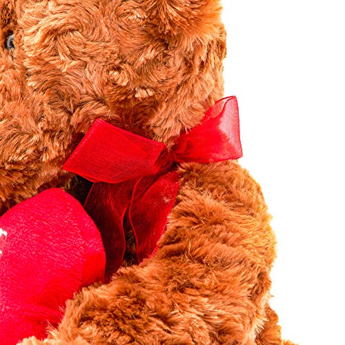 Valentine’s Teddy Bear With Red Heart For Children, Girlfriend, Boyfriend (10 In) #TOP7