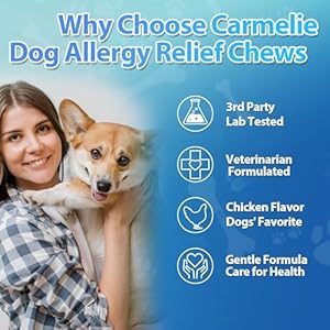 Dog Allergy Chews 200 Chews - Dog Itching Skin Relief Treatment - Omega 3 Probiotics for Dog - Itchy & Paw Licking Relief, Seasonal Allergies, Skin & Coat Immunity Supplement - Chicken Flavor Dog Allergy Chews 200 Chews Dog Itching Skin Relief Treatment Omega 3 Probiotics for Dog Itchy Paw Licking Relief Seasonal Allergies Skin Coat Immunity Supplement Chicken Flavor