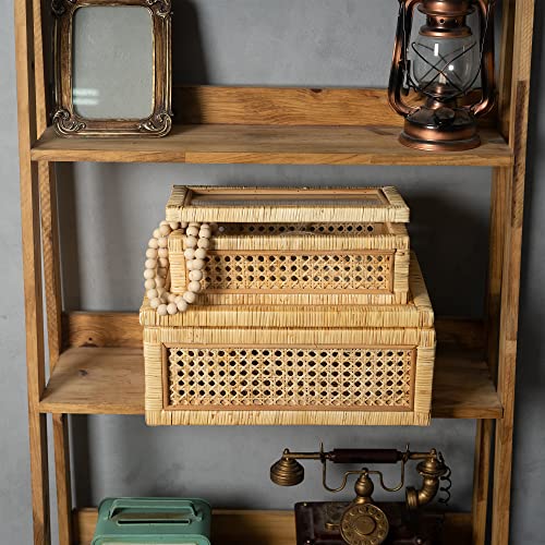 Lusydeco Set Of 2 Large Rectangular Rattan Decorative Boxes With Glass Lids Medium Cane And Rattan Display Boxes For Home Decor #TOP3