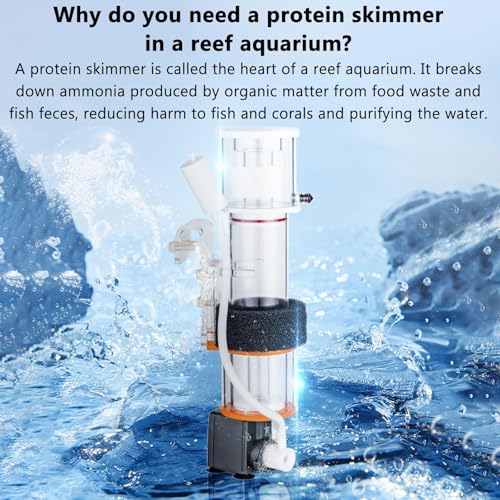Skimmer proteico per acquari di acqua salata, migliora la qualità dell'acqua, ideale per acquari da 30 a 130 litri, filtraggio efficiente, aeratore per acquari, essenziale per acquari marini