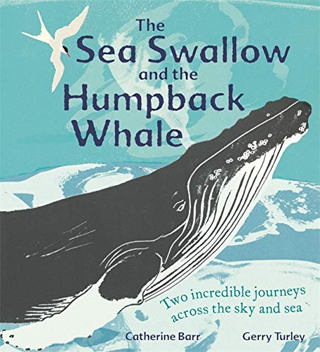 Wren & Rook The Sea Swallow and the Humpback Whale: Two Incredible Journeys Across the Sky and Sea