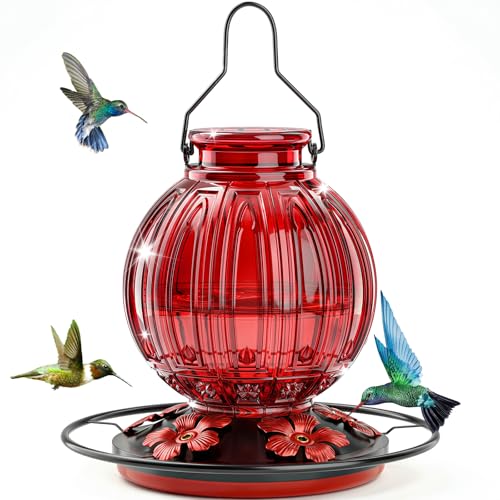 Glass Hummingbird Feeder for Outdoors Hanging, 24Oz...