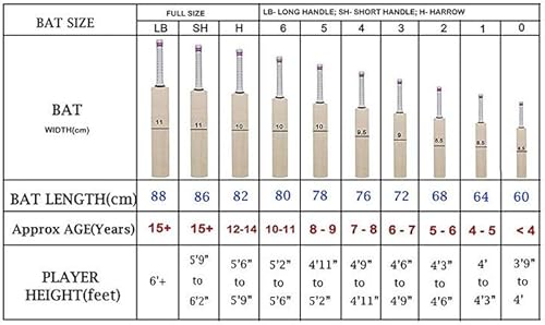 Miniatura 4 de JRS KVS - Bate de cricket para niños con pelota para niños, talla 6 (multicolor) de 8 a 12 años
