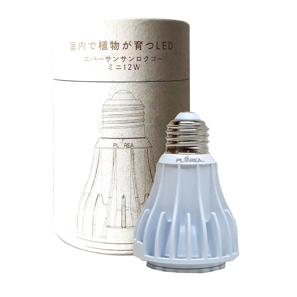 Amazon.co.jp: Ever Sun 365（エバーサン サンロクゴ―） ミニ ホワイト