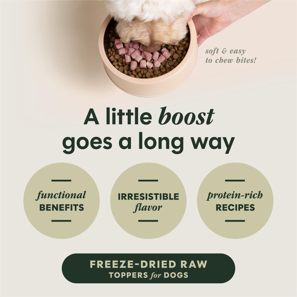 Instinct Raw Boost Mixers Skin & Coat Health Freeze Dried Dog Food Topper 5.5OZ