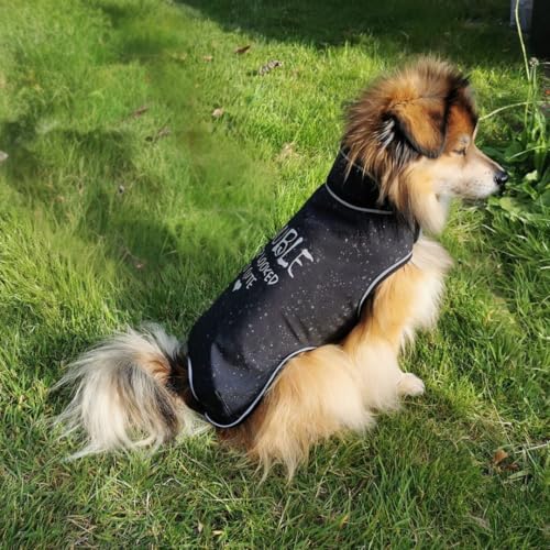 Papierschnittmuster Allwettermantel Hunde