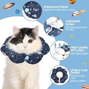 ComSaf-Cat-Cone-Collar-Soft-Protective-Adjustable-Cat-Cones-to-Stop-Licking-After-Surgery-Comfortable-Lightweight-Elizabethan-Collar-for-Cat-Kitten-Prevent-from-Licking-Wounds-Not-Block-Vision - Cucciolini Doodles   ComSaf-Cat-Cone-Collar-Soft-Protective-Adjustable-Cat-Cones-to-Stop-Licking-After-Surgery-Comfortable-Lightweight-Elizabethan-Collar-for-Cat-Kitten-Prevent-from-Licking-Wounds-Not-Block-Vision