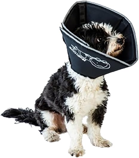 51I9PUwsVJL. AC SX466 Tail Waves | Premium Pet Accessories for Every Furry Friend
