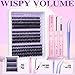 Volume Lash Clusters Kit D-Curly Eyelash Clusters Wispy Cluster Lashes Extensions Full Individual Lashes Clusters Eyelash Extensions Kit with Bond and Seal and Tweezers (232 Pcs, 10-16MM, 3 Styles)