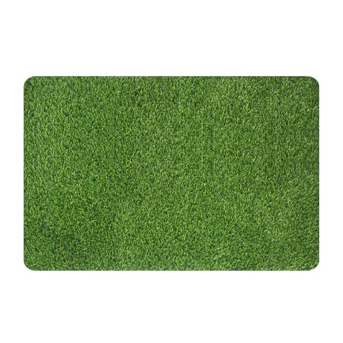MAYSHINE Artificial Grass Door Mat 35x24 Inches, Fake Grass Decor for Indoor & Outdoor Use, Turf Grass Rug, Fake Grass for Dogs, Artificial Grass Rug for Patio