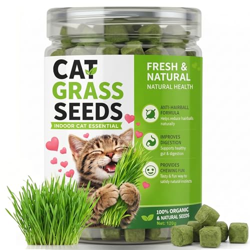 Cat-Grass-for-Indoor-Cats-Natural-Cat-Grass-Treats-Dried-Cats-Grass-Granules-Supports-Digestion-Hairball-Passage-100-Pure-Daily-Chewing-Snack Cat Grass for Indoor Cats, Natural Cat Grass Treats, Dried Cats Grass Granules, Supports Digestion & Hairball Passage, 100% Pure, Daily Chewing Snack - Image 1