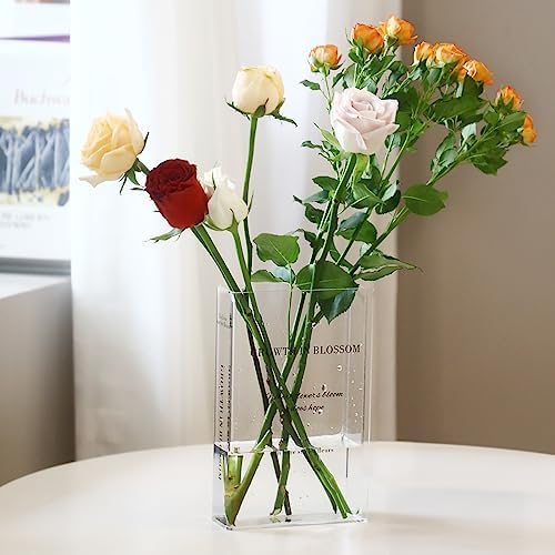 Aohcae Acryl Buchvase – Einzigartige Blumenvasen Als ästhetische Deko Für Zuhause, Büro Oder Geschenk