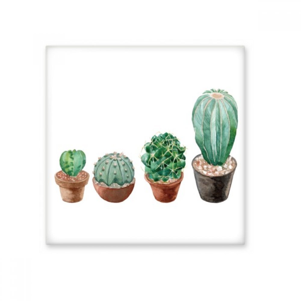 Carreau céramique cactus plantes grasses décor mural faïence cuisine S