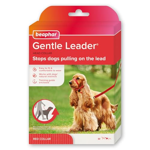 Beaphar - Gentle Leader Head Collar for Medium Dogs - Training Aid - Stops Pulling On The Lead Immediate Effect - Adjustable Comfortable Fit Anti-Pull Collar - Behaviourist Endorsed RED x 1