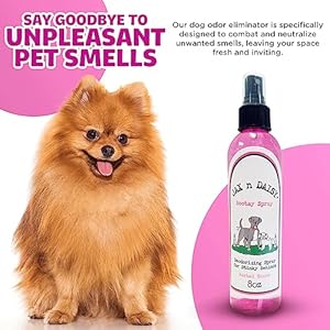 Jax-N-Daisy-Dog-Bootay-Spray-Pet-Perfume-Spray-for-Dogs-Bottom-Hygiene-Odor-Control-Refreshing-Deodorizing-Spray-for-Smelly-Dogs-Long-lasting-Dog-Spray-All-Natural-Ideal-for-All-Breeds - Cucciolini Doodles   Jax-N-Daisy-Dog-Bootay-Spray-Pet-Perfume-Spray-for-Dogs-Bottom-Hygiene-Odor-Control-Refreshing-Deodorizing-Spray-for-Smelly-Dogs-Long-lasting-Dog-Spray-All-Natural-Ideal-for-All-Breeds