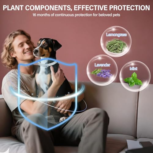 RoamRover 2er-Pack Zeckenhalsband für Hunde – Natürliches Ätherisches Öl, Wasserdicht & Verstellbar für Welpen und Hunde ab 8 Wochen, 16 Monate Schutz – Sicher mit Pflanzlichen Inhaltsstoffen