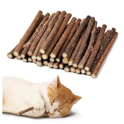 32 Stück Katzenminze Sticks für Katzen