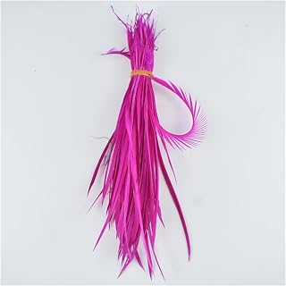 ROJDFCNBW Plumas para Manualidades, Plumas de Ganso Naturales de Colores, Plumas for Manualidades, fabricación de Joyas, Materiales for Atado de Moscas(Rose,20 Pieces)