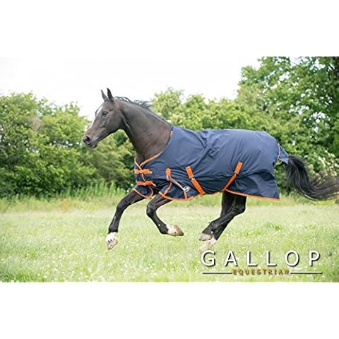 Gallop Trojan 600d Standard Neck 100g Turnout Rug 6'3" (EU 140cm) Cover